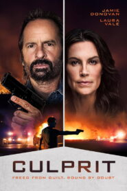 Culprit (2025) HD Movies Watch