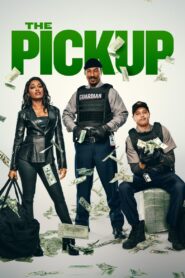 The Pickup (2025) HD Movies Watch